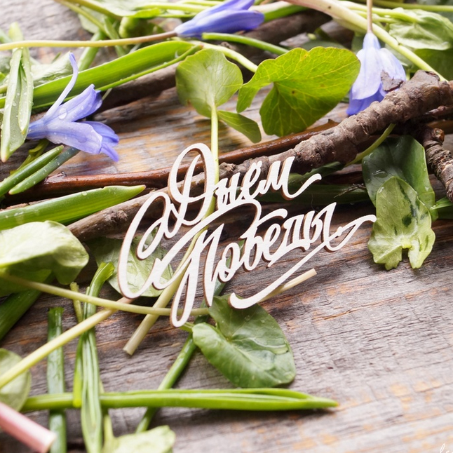 Чипборд LeoMAMMY "Надпись С Днем Победы"