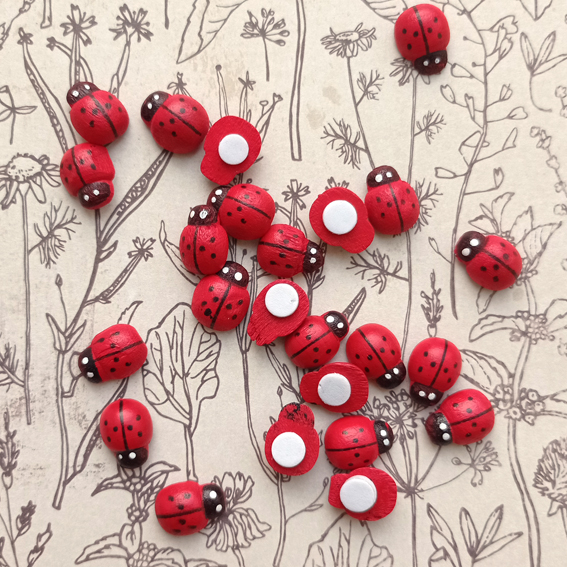 Набор божьих коровок 24 шт