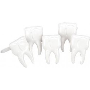 Набор фигурных брадс Eyelet Outlet "Зубики"