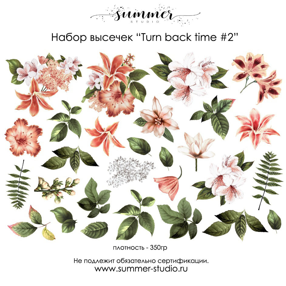 Набор высечек Summer Studio "Turn back time #2" Цветы