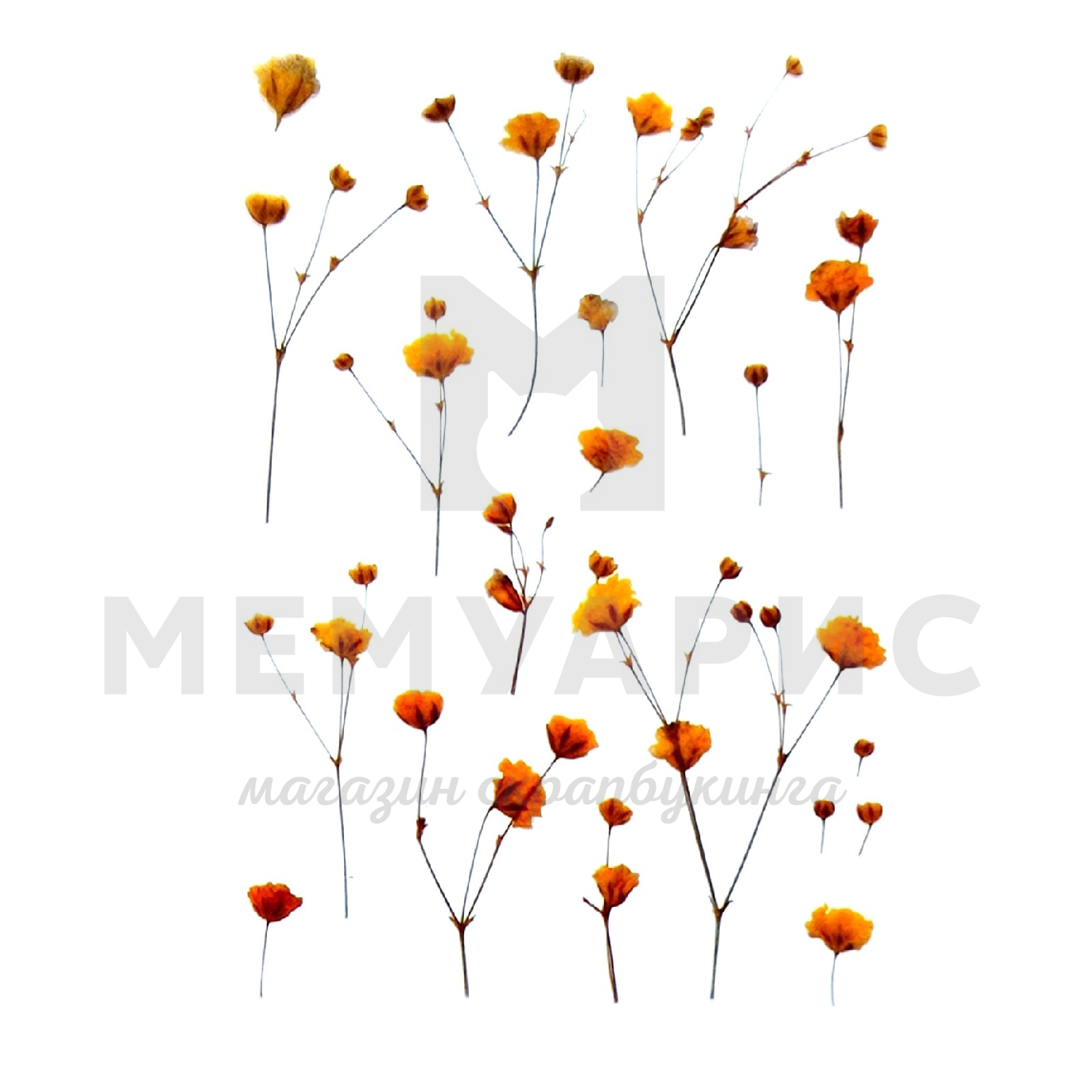 Наклейки на прозрачной основе"Гипсофила"