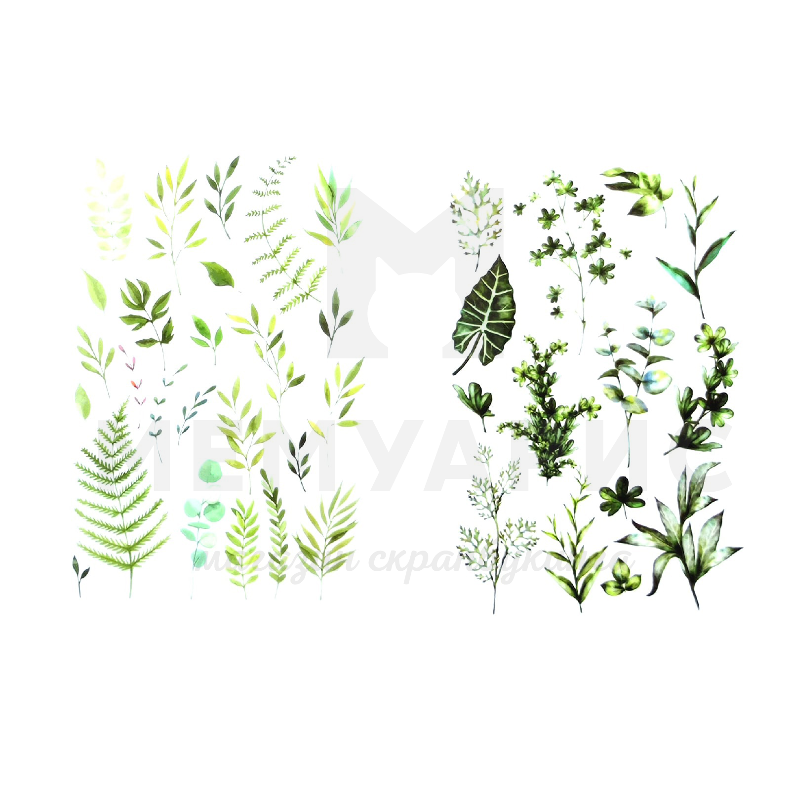 Натирки на прозрачной основе"Травинки"