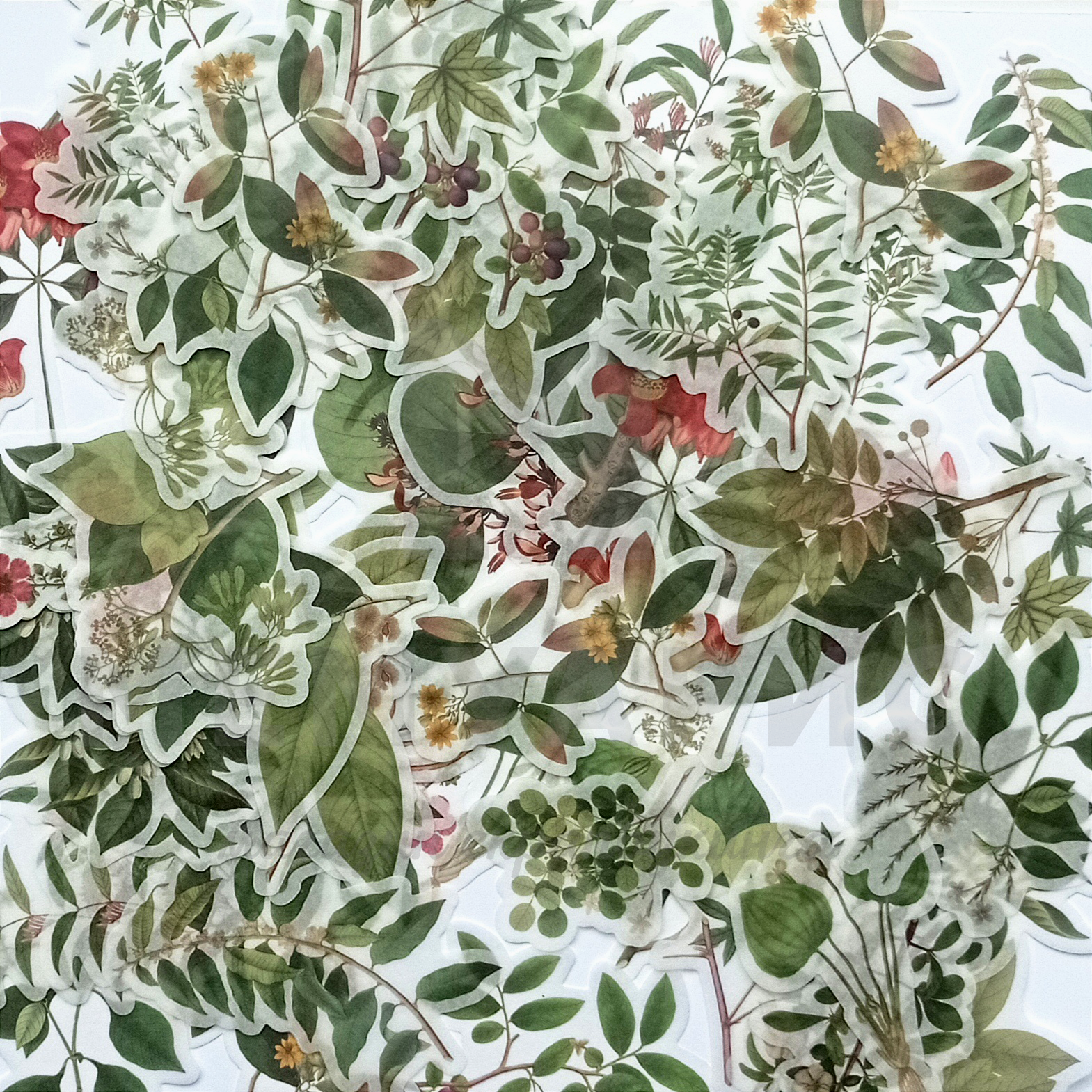 Вырубные элементы из кальки на клеевой основе "Дикие цветы"