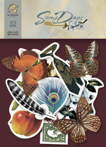 Набор высечек для скрапбукинга ScrapМир "Some days"