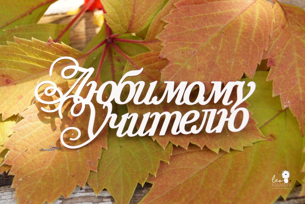 Чипборд LeoMAMMY "Надпись Любимому учителю 2"