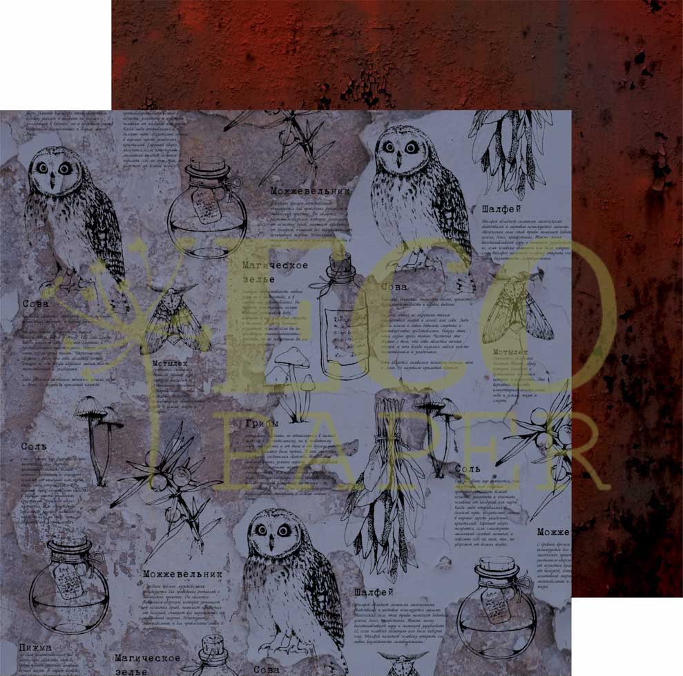 Бумага для скрапбукинга Eco paper "Лесная ведьма" Гримуар (ECO101)