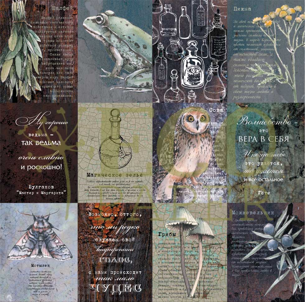 Бумага для скрапбукинга Eco paper "Лесная ведьма" Карточки (ECO107)