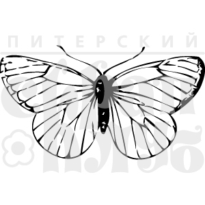 Штамп "Бабочка-капустница"