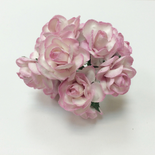 Набор листьев