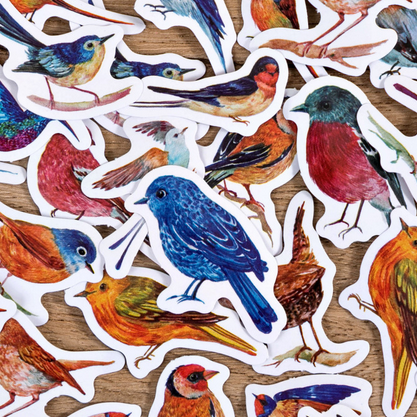 Наклейки в коробочке "Птички"