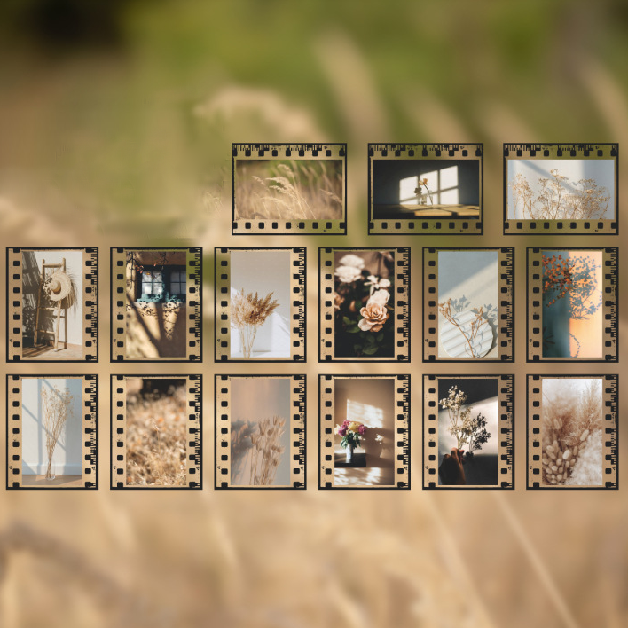 Ацетатные наклейки кадры"История одного лета"