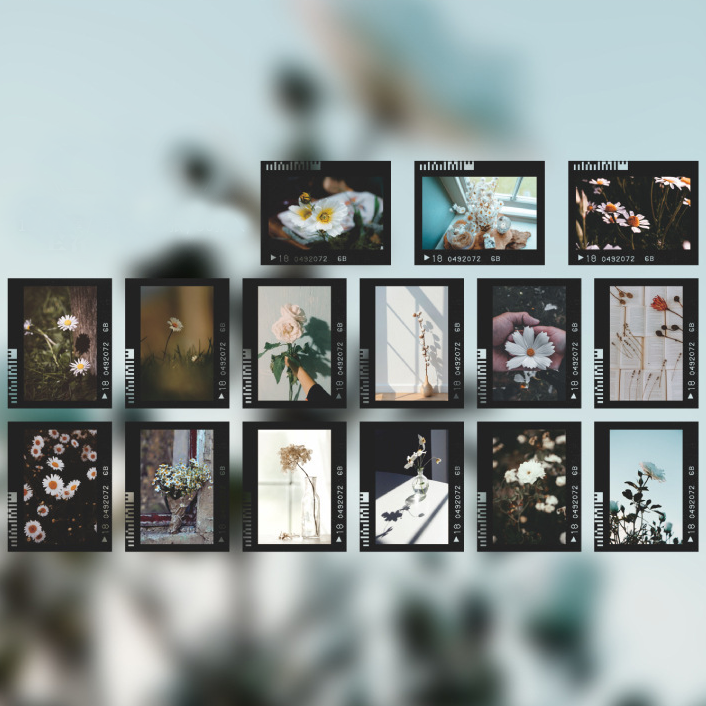 Ацетатные наклейки кадры "Цветы - любовь моя"