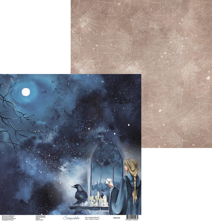Бумага Scrapodelie “Enigma 2" Лист1 (SCR56)