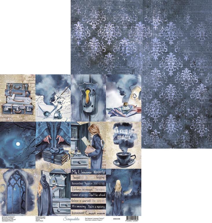 Бумага Scrapodelie “Enigma 2" Карточки1 (SCR61)