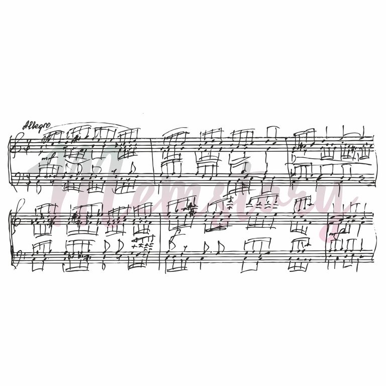 Штамп Memstory "Рукописные ноты"