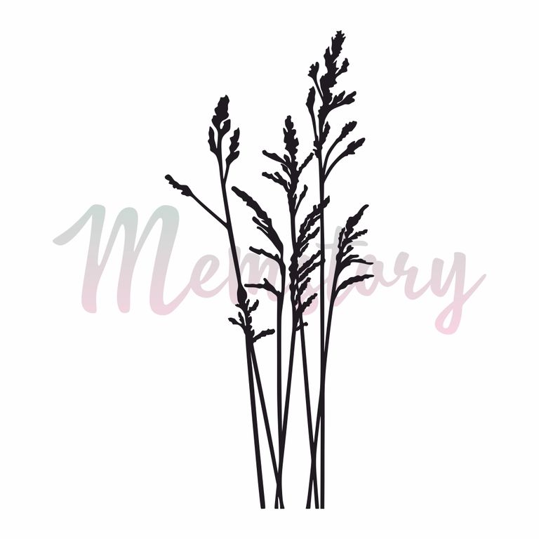 Штамп Memstory "Тмин"