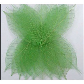 Скелетированные листочки 20 шт. Цвет зелёный.