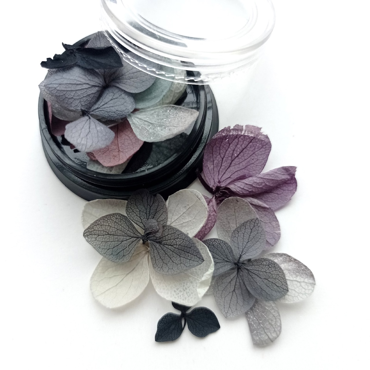 Сухоцветы в баночке с крышкой "Тайна ночи"