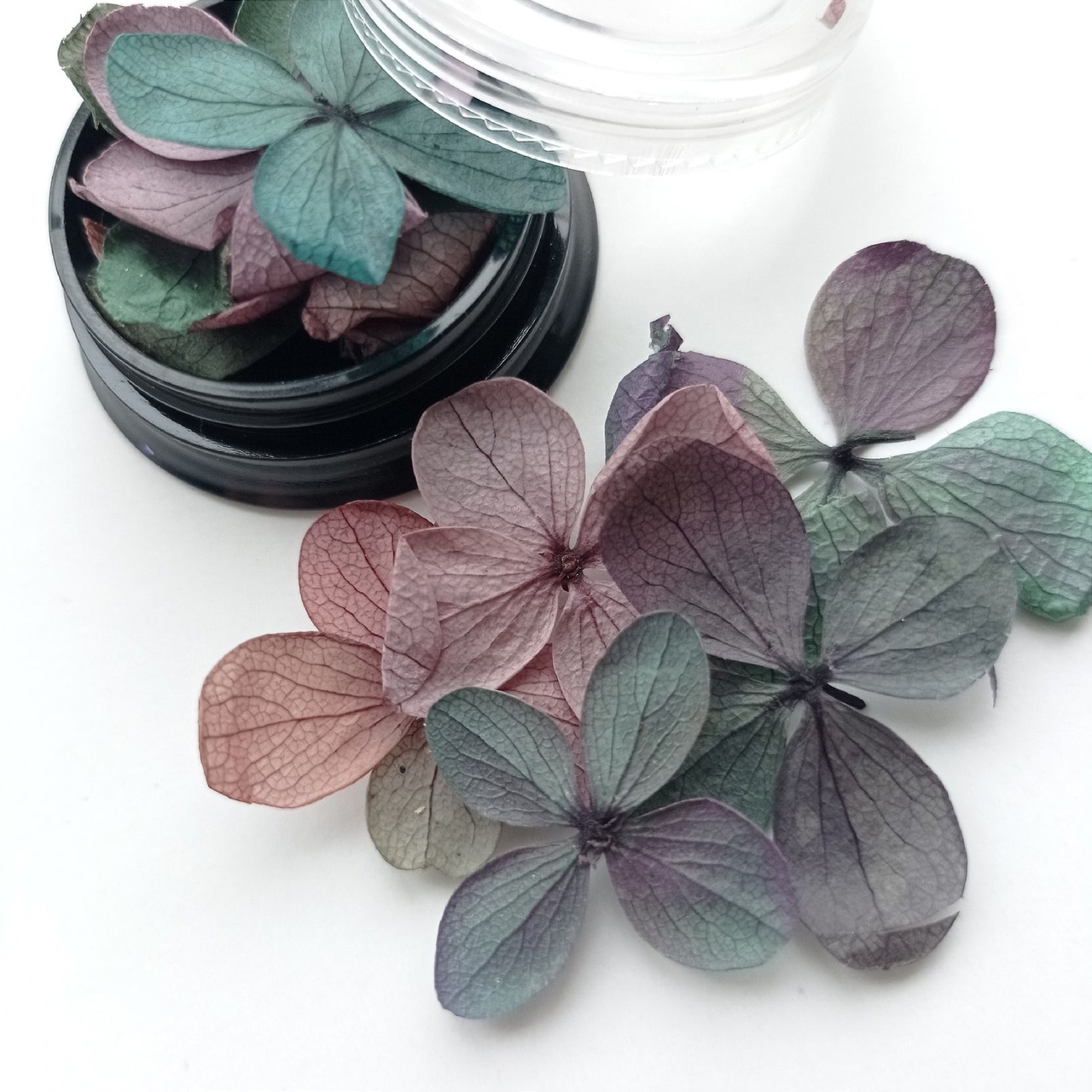 Сухоцветы в баночке с крышкой "Загадка феи"