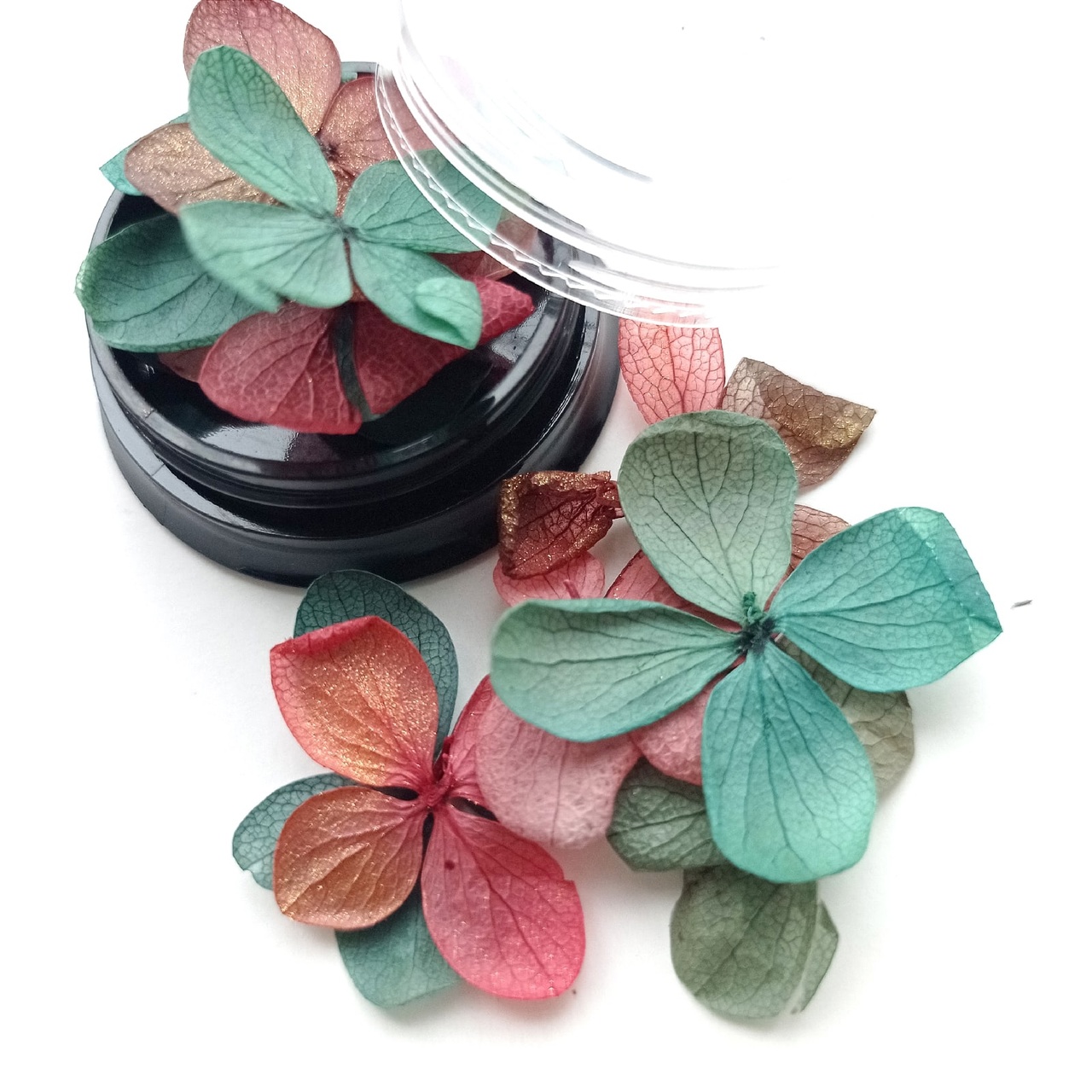 Сухоцветы в баночке с крышкой "Сказка старого эльфа"