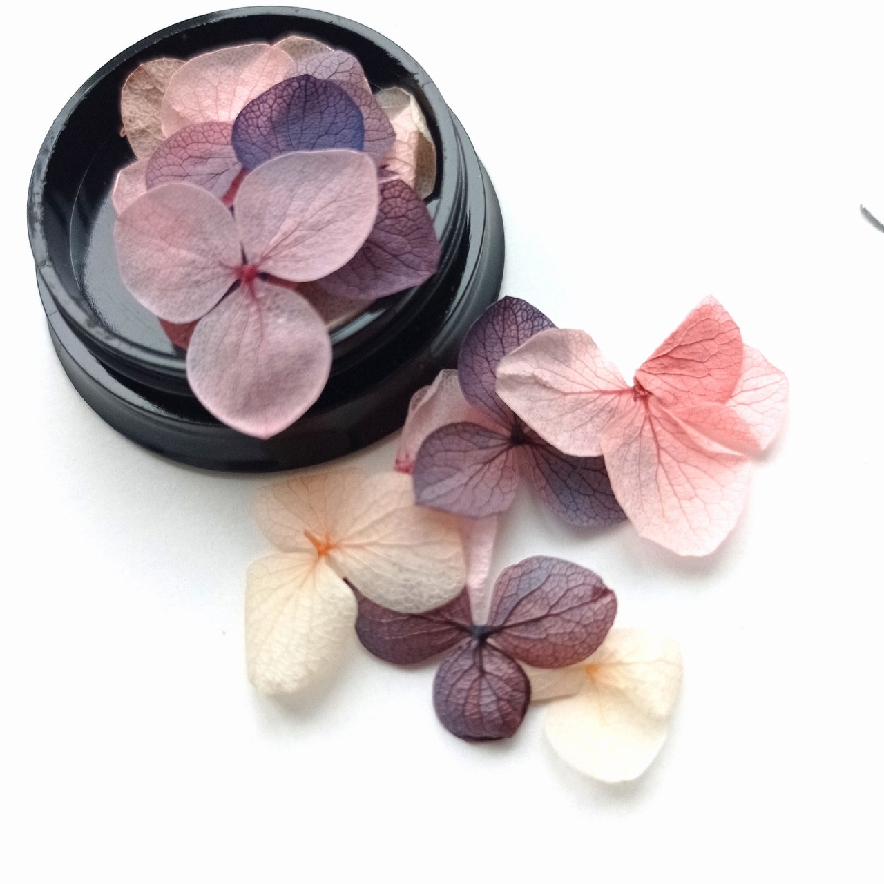 Сухоцветы в баночке с крышкой "Чудеса любви"