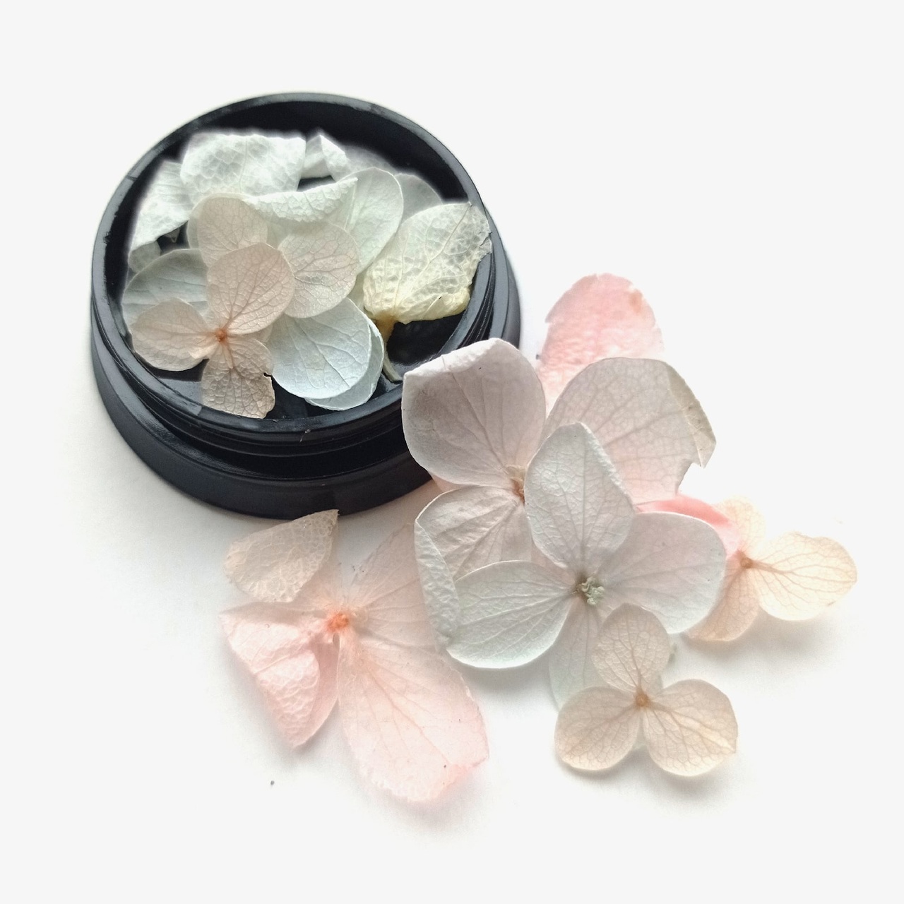 Сухоцветы в баночке с крышкой "Мечта невесты"