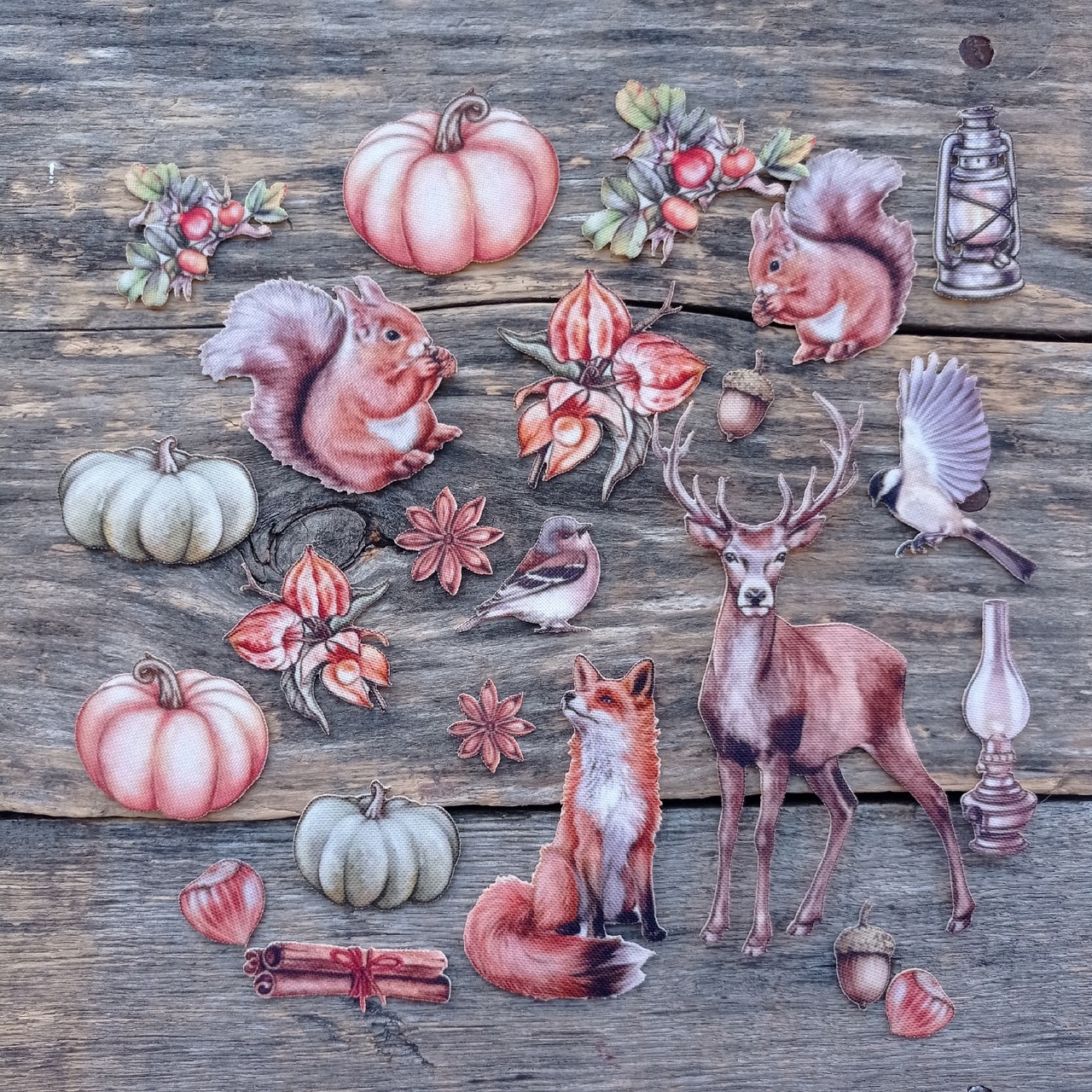 Набор тканевых высечек Rozeflowers "Рыжая осень"