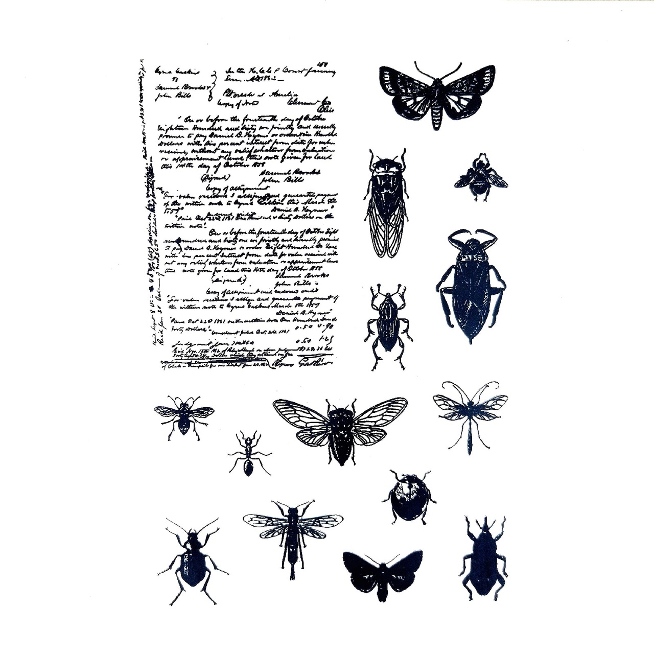 Набор штампов Cut it! "Друзья энтомолога"