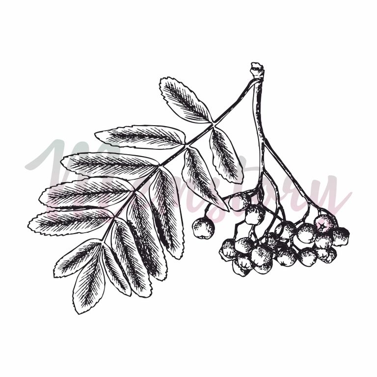 Штамп Memstory "Рябина "