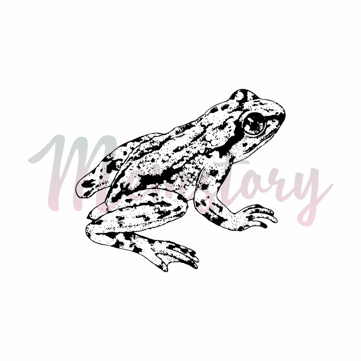 Штамп Memstory "Лягушка"