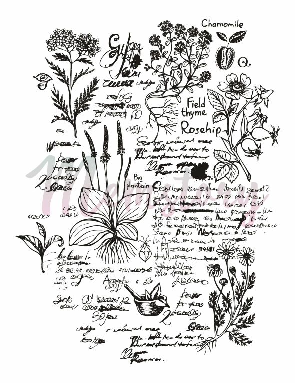 Штамп Memstory "Ботанический блокнот"