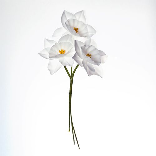 Нарциссы Scrapberrys, цвет белый