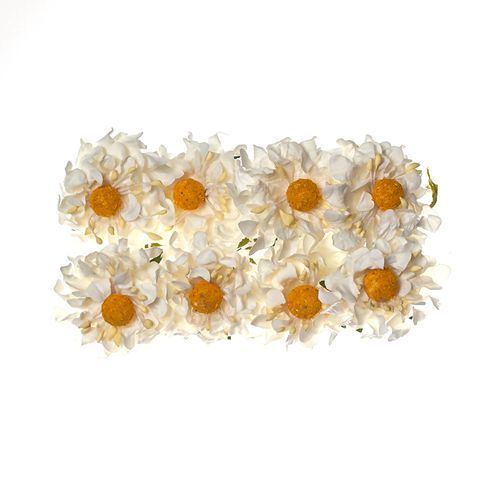 Ромашки Scrapberrys, цвет белый.