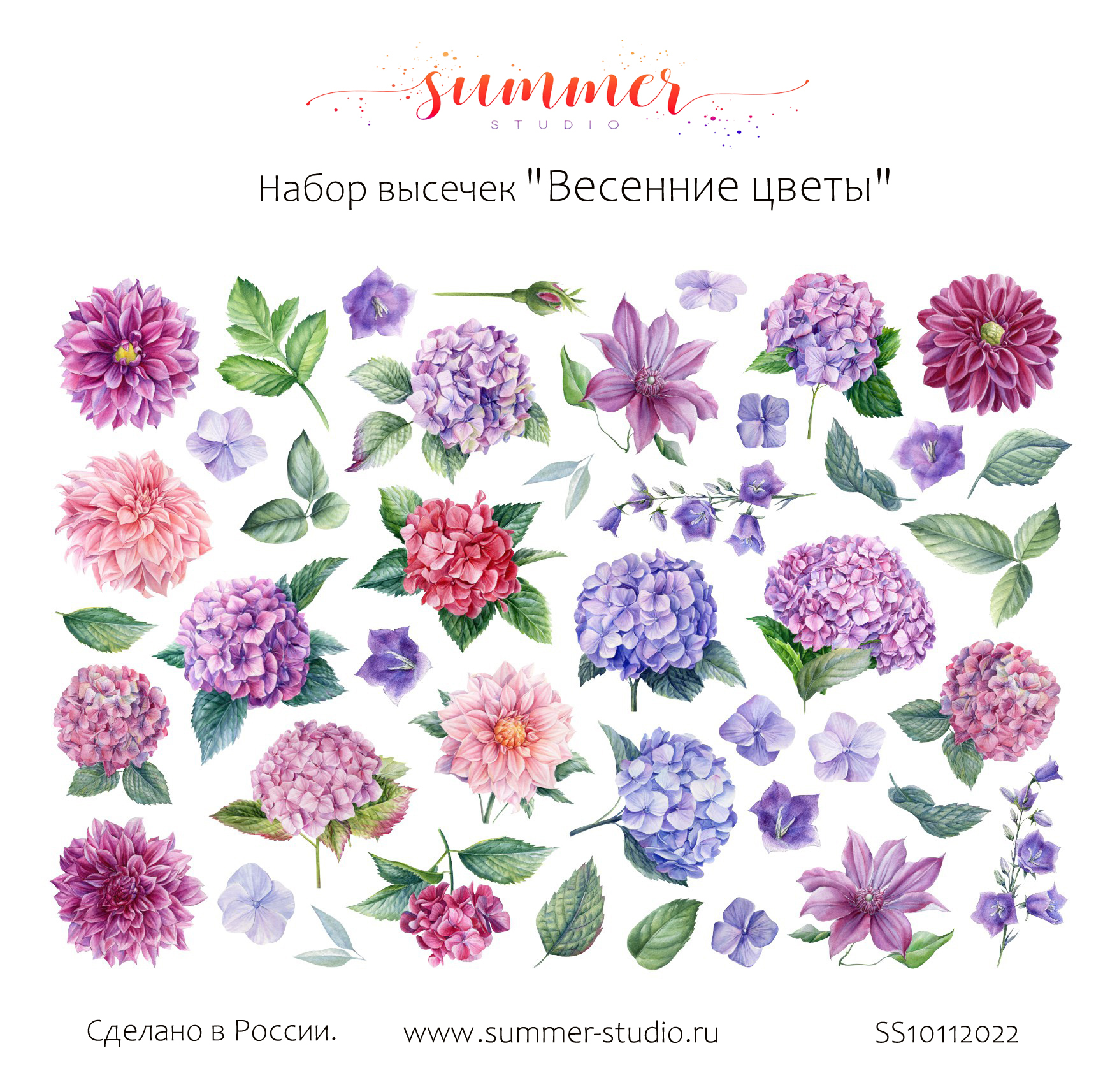 Набор высечек Summer Studio "Весенние цветы"
