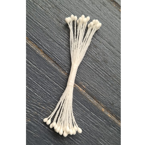 Тычинки круглые белые