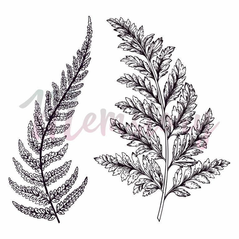 Штамп Memstory "Папоротник"