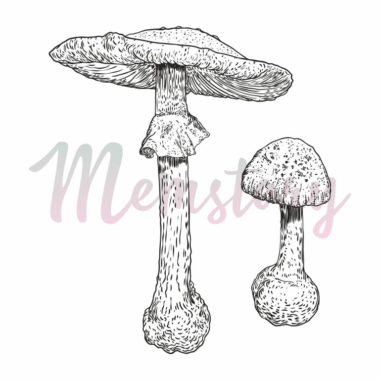 Штамп Memstory "Поганки"