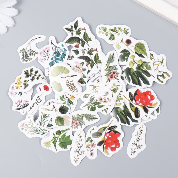 Наклейки в коробочке "Ботанический сад"