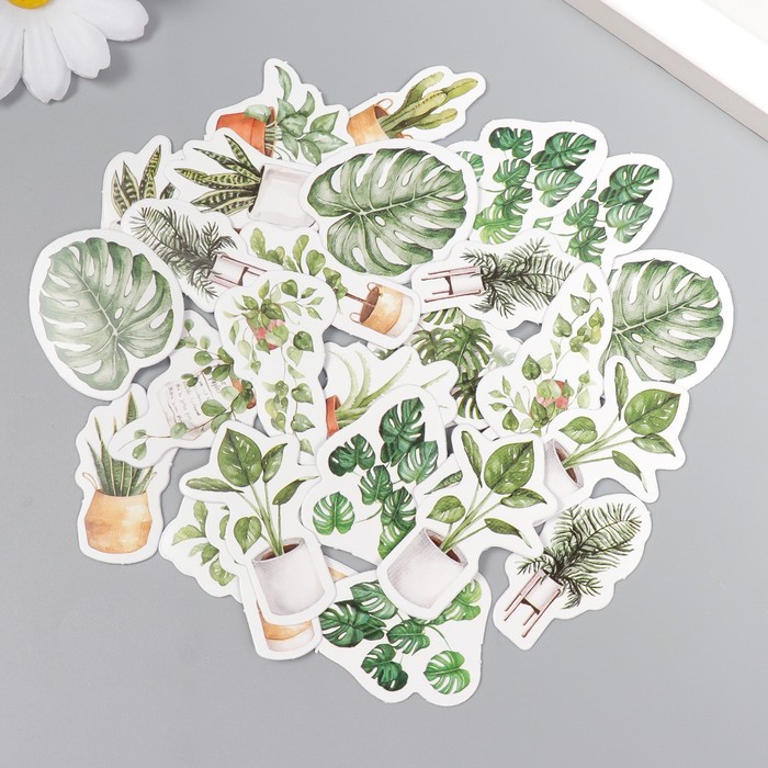 Наклейки в коробочке "Комнатные растения"
