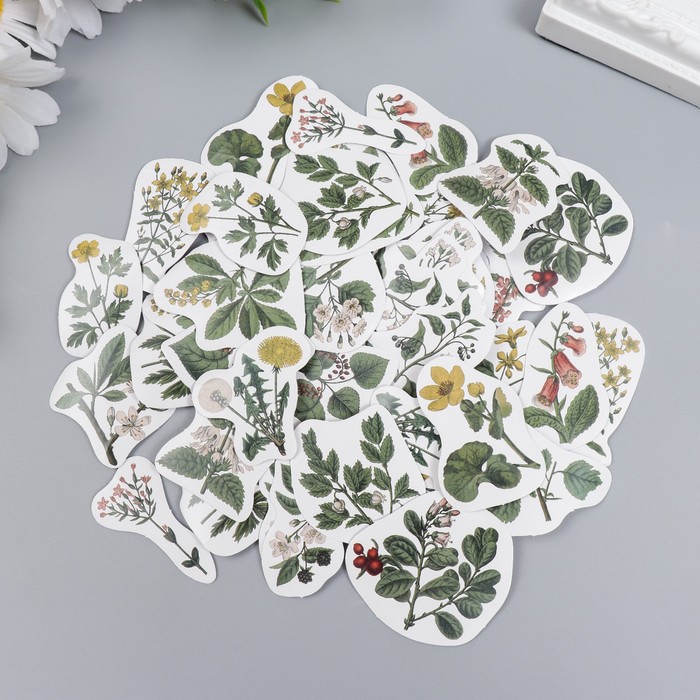 Наклейки в коробочке "Полевые цветы"