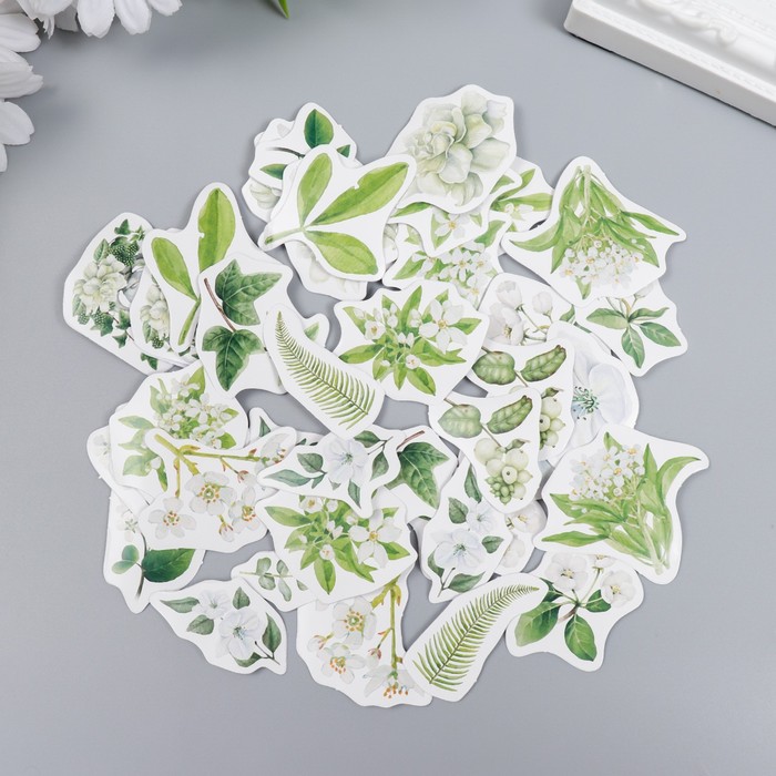 Наклейки в коробочке "Гардения"