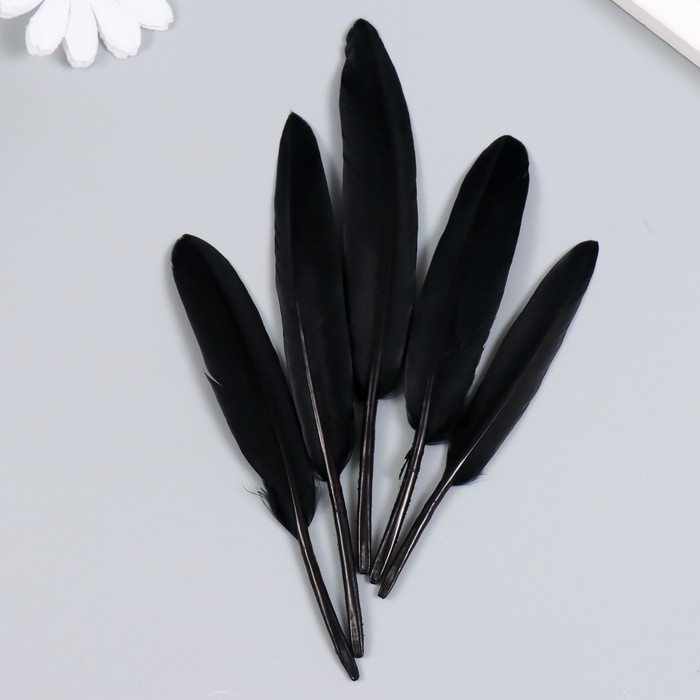 Набор декоративных перьев Чёрный