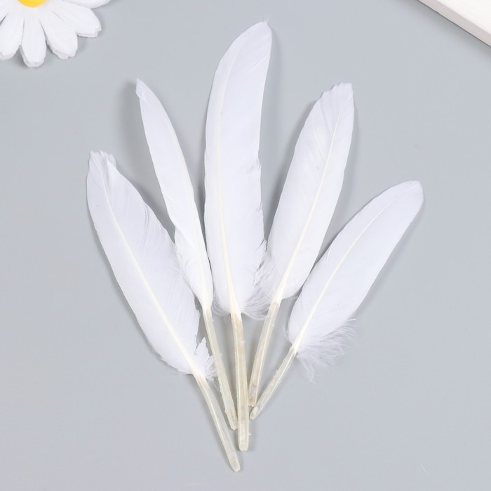 Набор декоративных перьев Белый