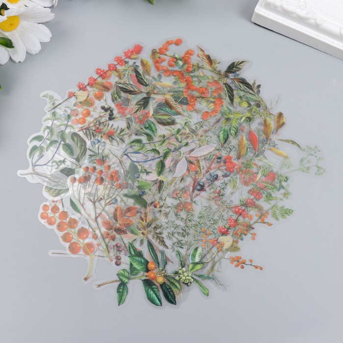 Ацетатные наклейки "Ягоды"