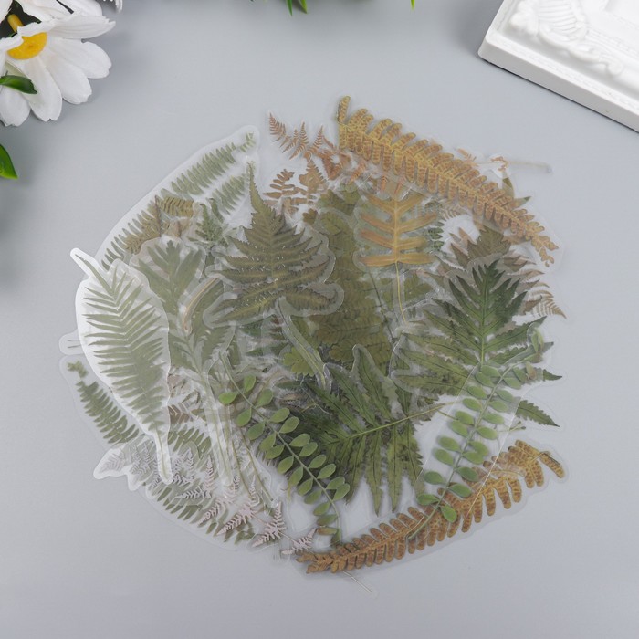 Ацетатные наклейки "Папоротник"