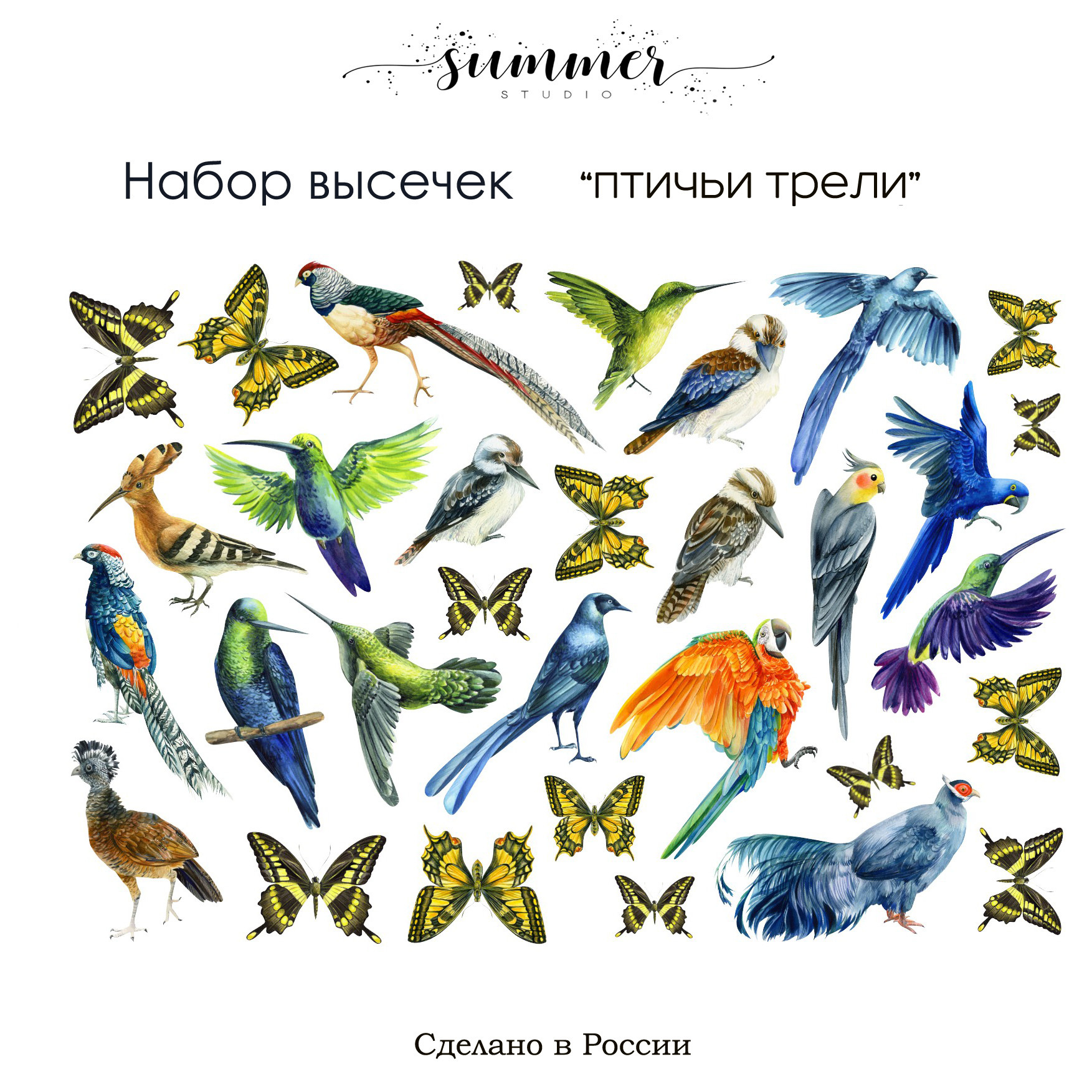 Набор высечек Summer Studio "Птичьи трели"