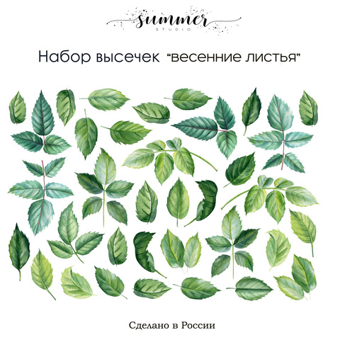 Набор высечек Summer Studio "Весенние листья"
