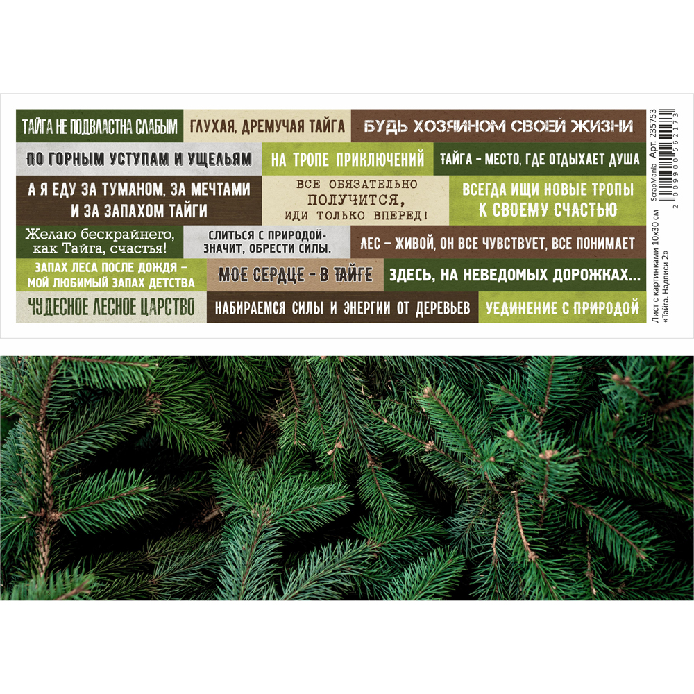 Бумага 10х30 см ScrapMania "Тайга" Надписи2 (SMA231)