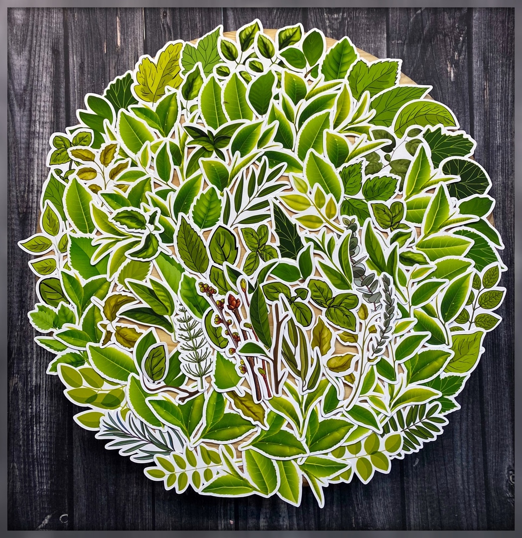 Набор высечек "Зелёные листья"