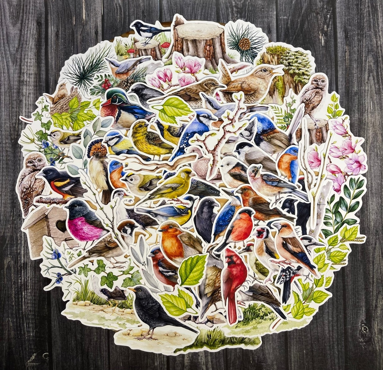 Набор высечек "Певчие птички"